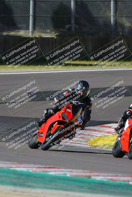 media/Mar-17-2024-Fastrack Riders (Sun) [[c7d6f8c14c]]/Level 2/Turn 6/